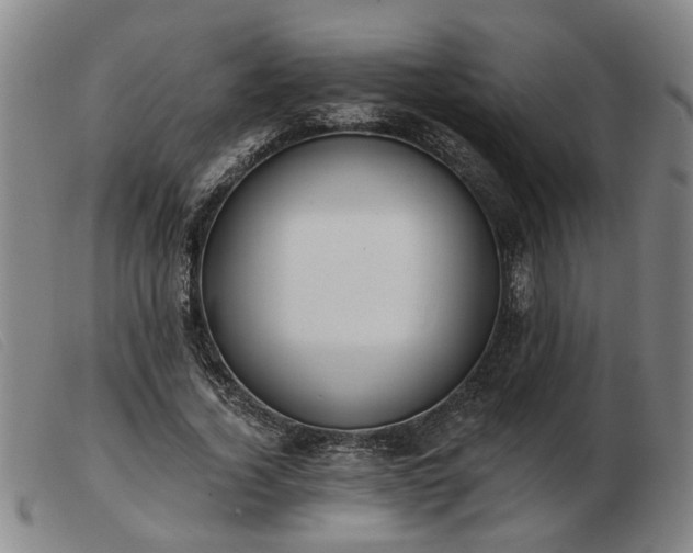 X0000103420732200809191637