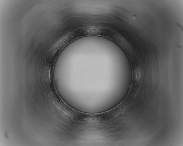 X0000103420733200809191637