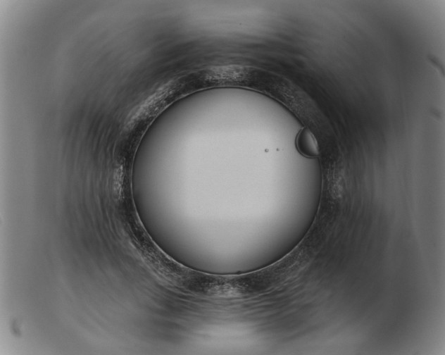 X0000103420735200809191637