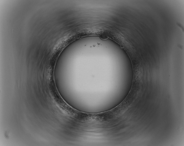 X0000103420736200809191637