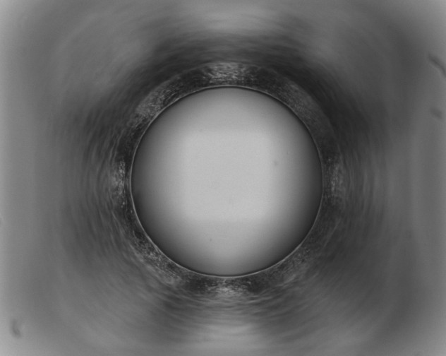 X0000103420737200809191637