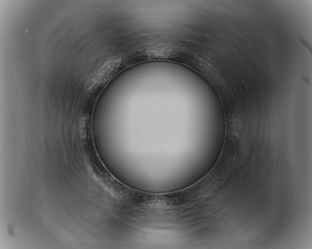 X0000103420738200809191637