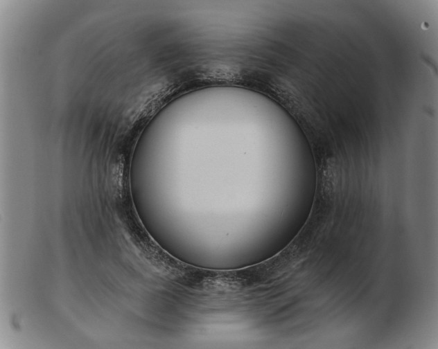 X0000103420739200809191637