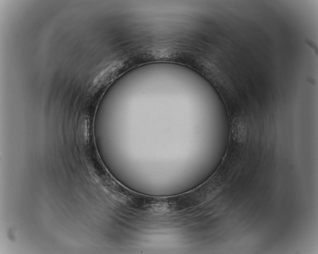 X0000103420740200809191637