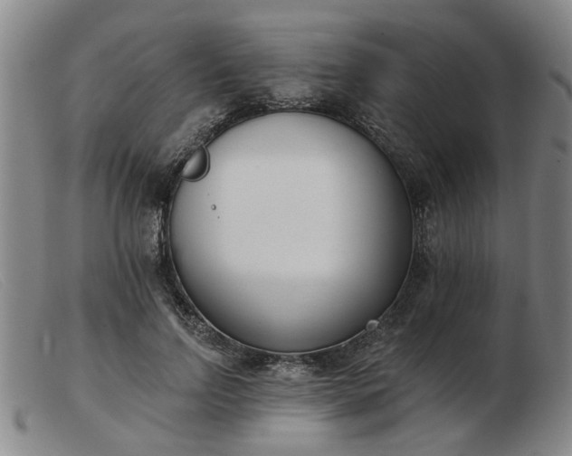 X0000103420742200809191637