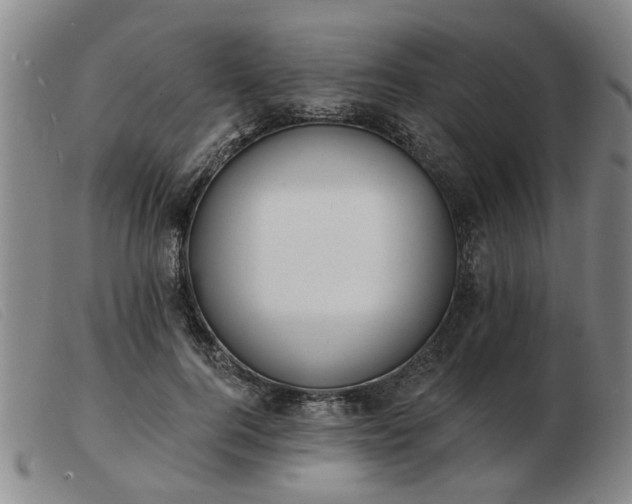X0000103420744200809191637