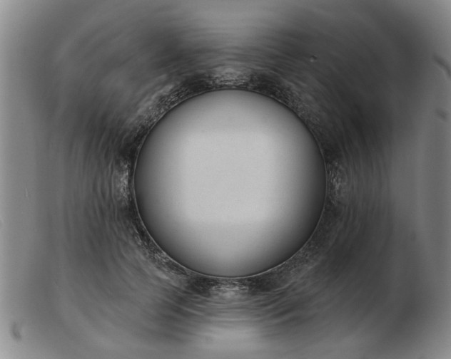 X0000103420745200809191637