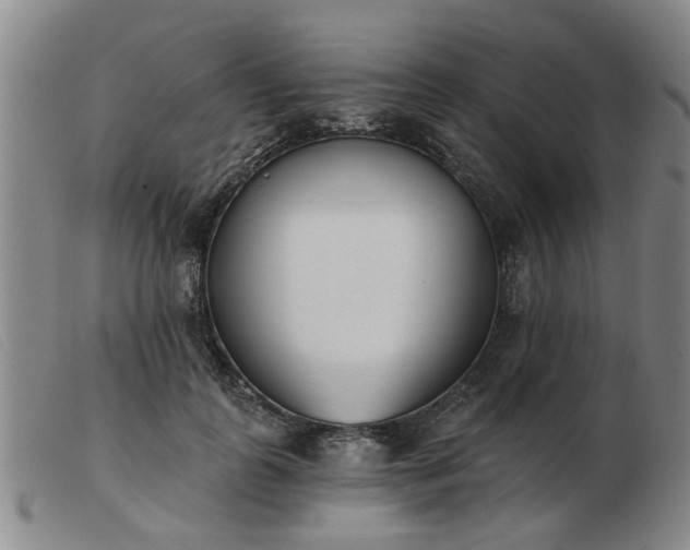 X0000103420747200809191637