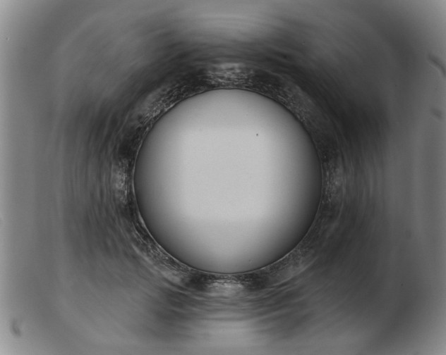 X0000103420749200809191637