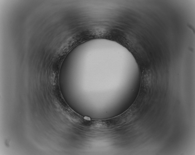 X0000103420750200809191637