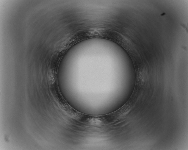 X0000103420751200809191637