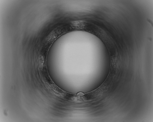 X0000103420752200809191637