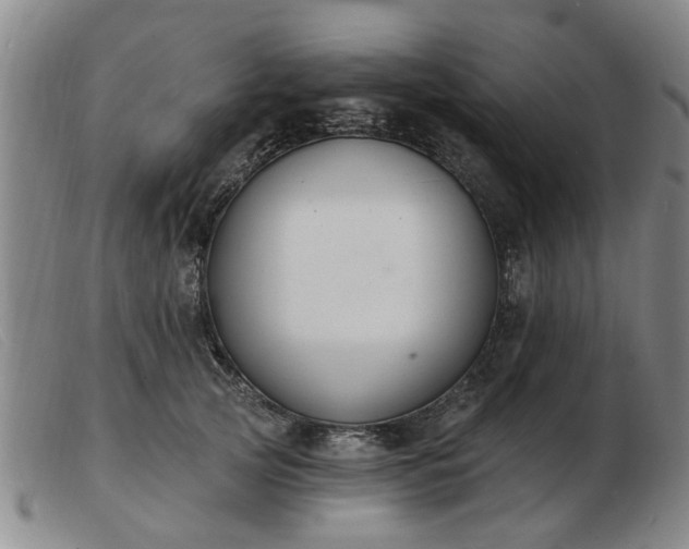 X0000103420753200809191637