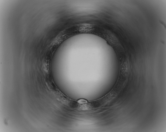 X0000103420755200809191637
