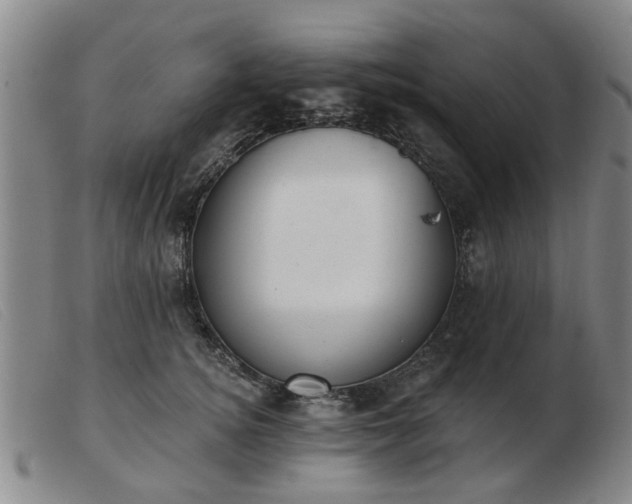 X0000103420756200809191637