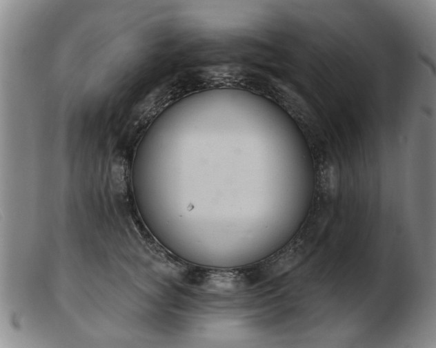 X0000103420757200809191637
