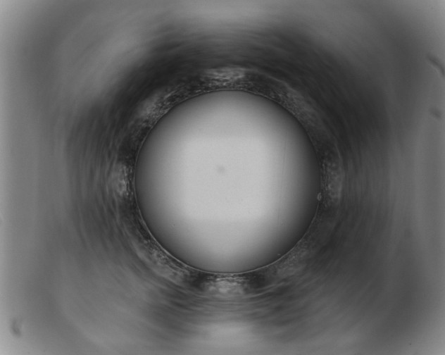 X0000103420758200809191637
