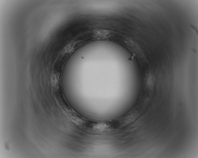 X0000103420759200809191637