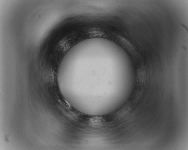X0000103420761200809191637
