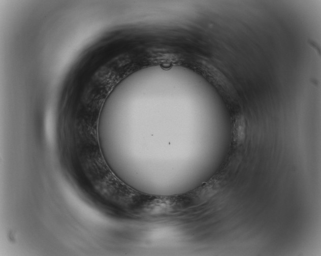 X0000103420764200809191637