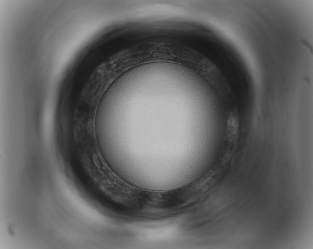 X0000103420765200809191637