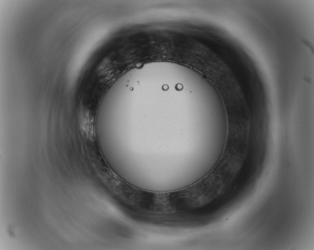 X0000103420766200809191637