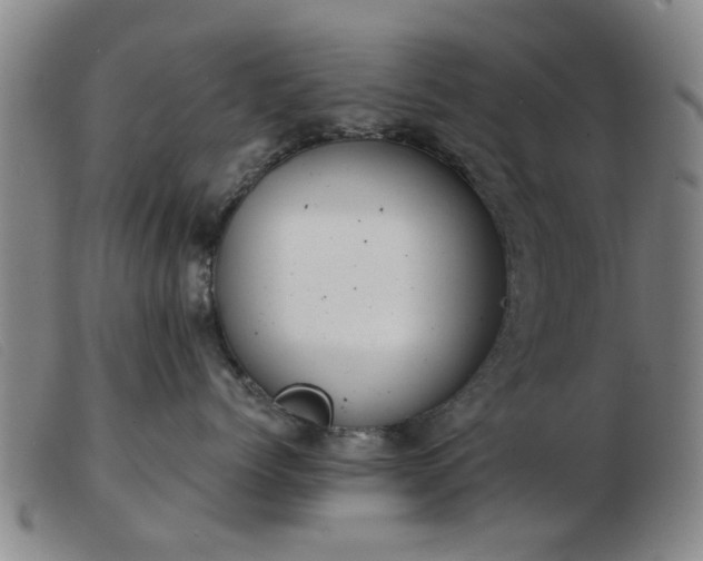 X0000103420768200809191637
