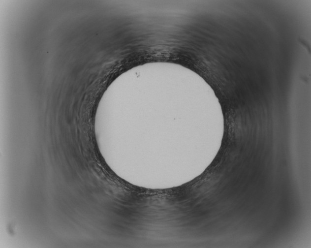 X0000103420769200809191637