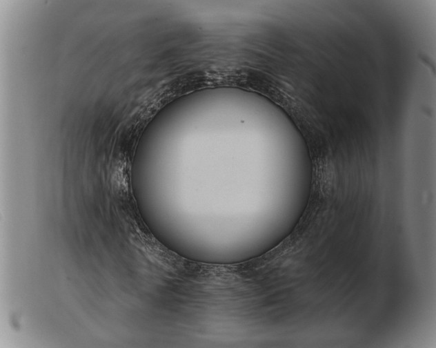 X0000103420770200809191637