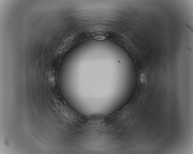 X0000103420771200809191637