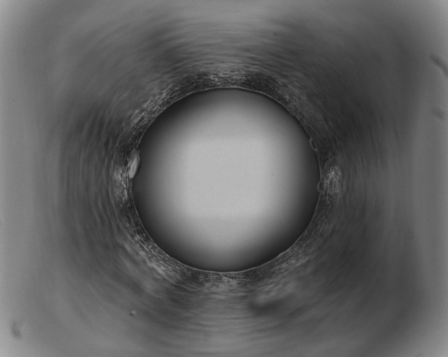 X0000103420772200809191637