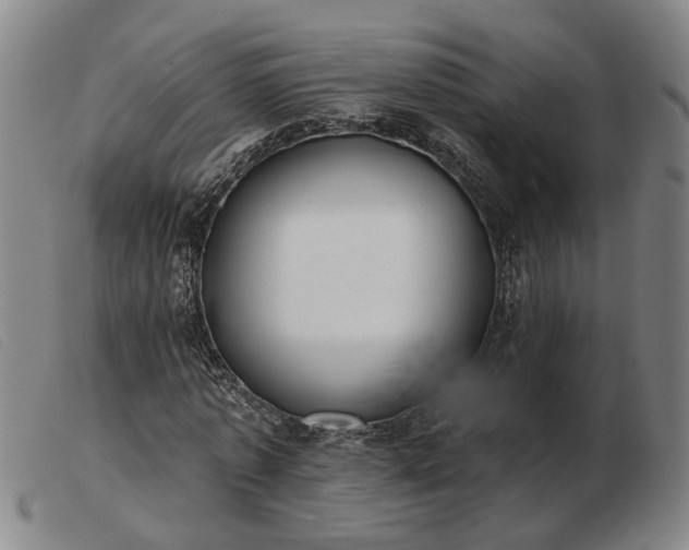 X0000103420773200809191637