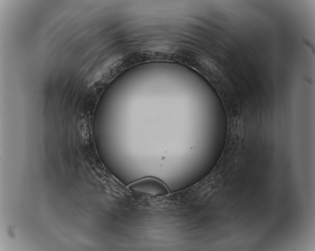 X0000103420774200809191637