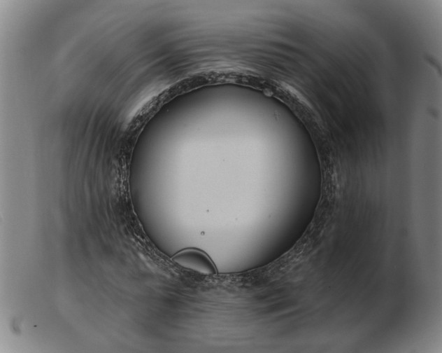 X0000103420775200809191637