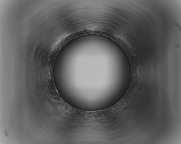 X0000103420776200809191636