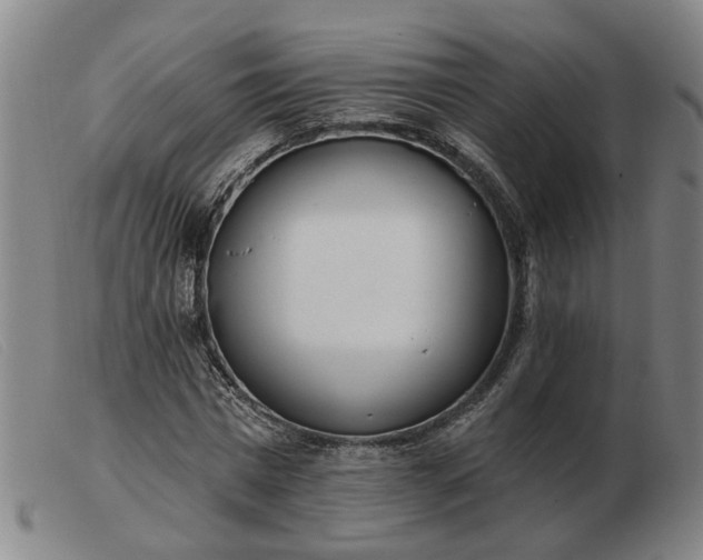 X0000103420777200809191636
