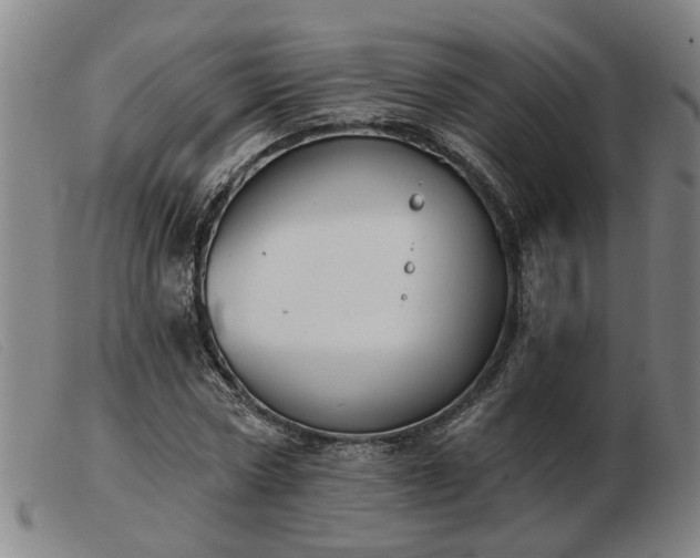 X0000103420778200809191636