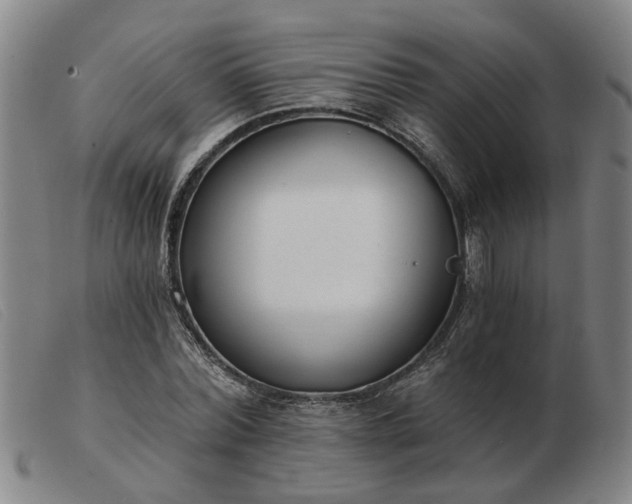 X0000103420780200809191636