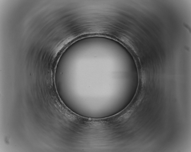 X0000103420781200809191636