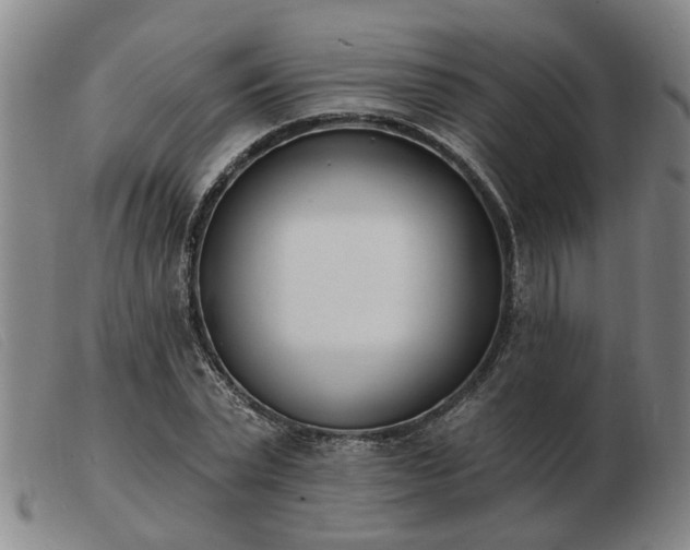 X0000103420783200809191636