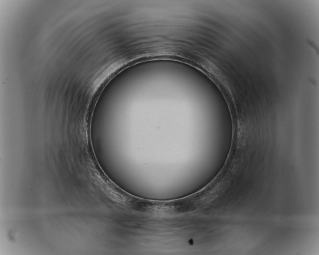 X0000103420789200809191636
