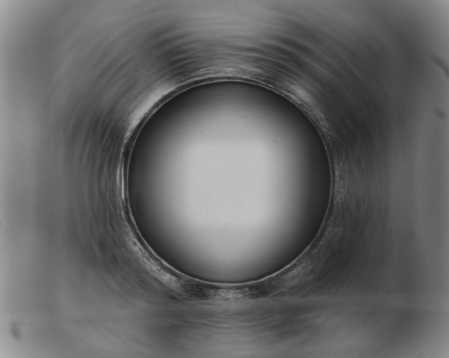 X0000103420796200809191636