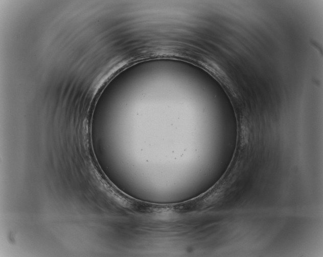 X0000103420798200809191636