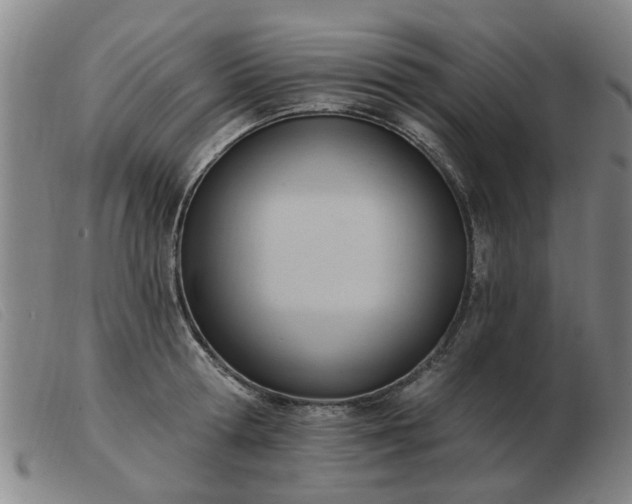 X0000103420802200809191636