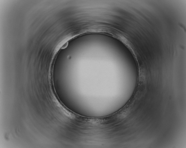 X0000103420803200809191636