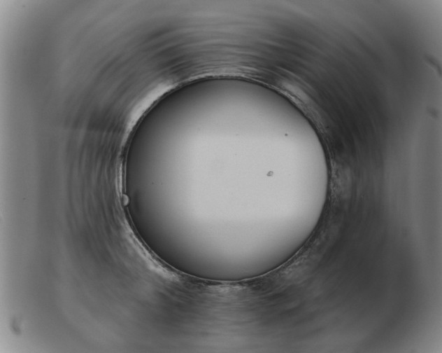 X0000103420804200809191636