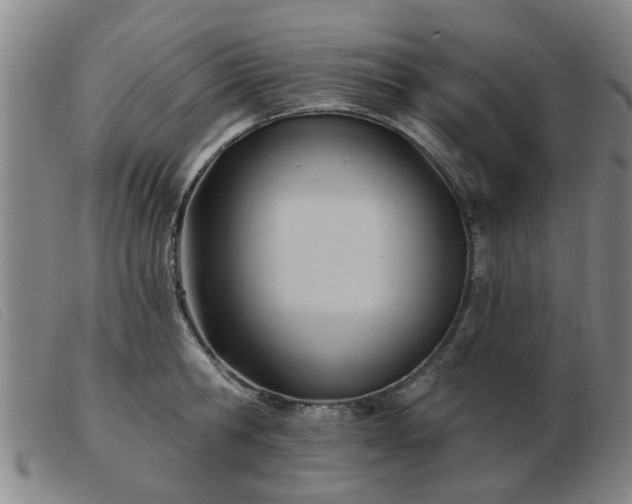 X0000103420806200809191636