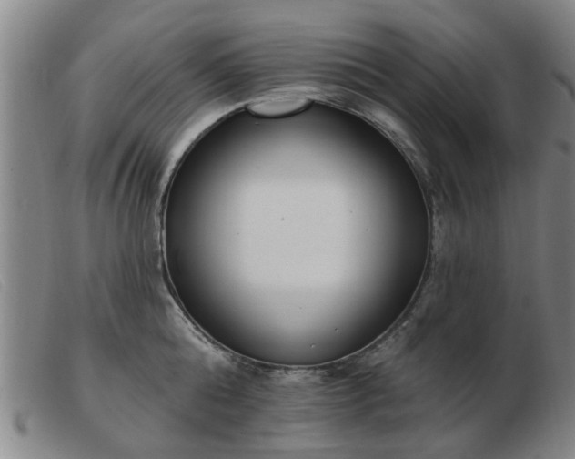X0000103420808200809191636