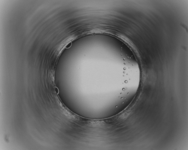 X0000103420809200809191636
