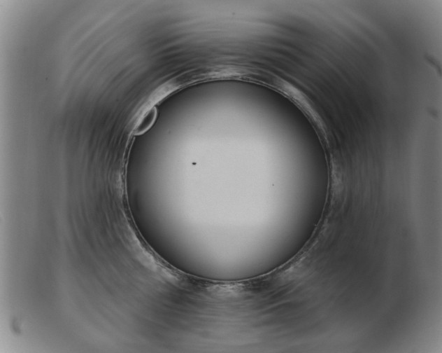 X0000103420810200809191636